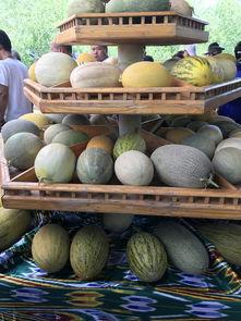 网曝吃瓜新疆,揭秘当地美食与风土人情