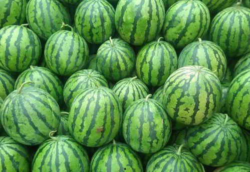 吃瓜网热门大瓜独家揭秘