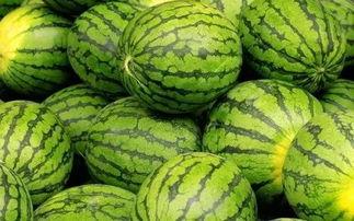 52吃瓜网每日大赛,每日大赛精彩回顾，瓜友狂欢盛宴