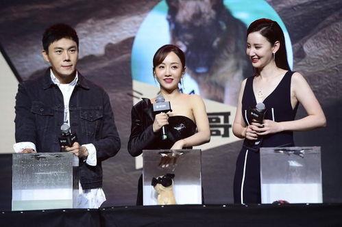 娱乐圈明星吃瓜合集小说,揭秘幕后真相